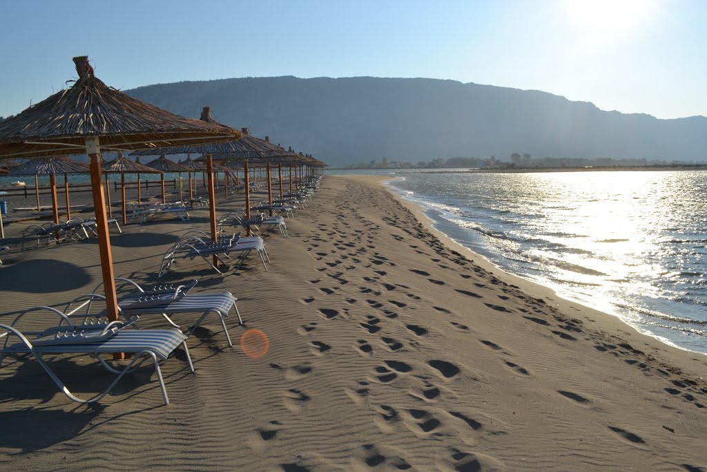 Velipoja/ Plazhi plot bukuri dhe vlera natyrore të një rëndësie  ndërkombëtare - Top Channel
