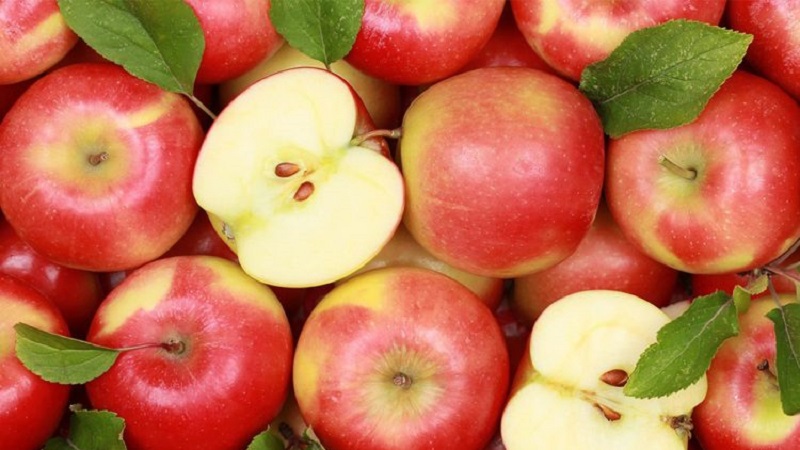 Mollët më të mira – Si të zgjidhni cilësinë e duhur mes llojeve të mollëve  në treg - Top Channel