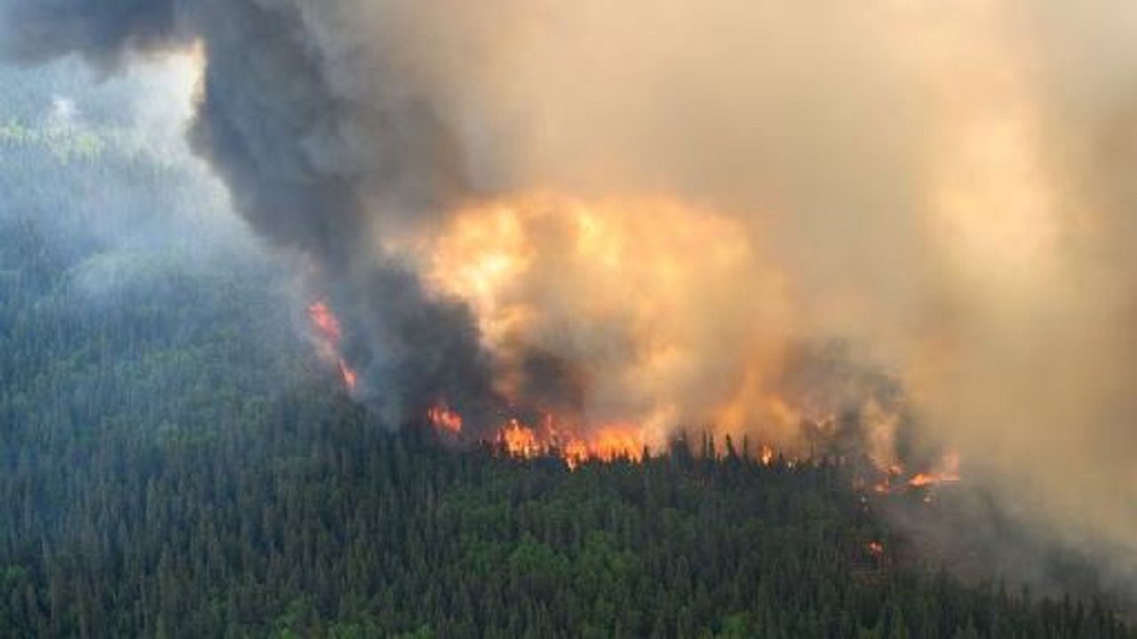 Toka arrin temperaturat rekord, priten ndryshime ekstreme klimaterike gjatë vitit