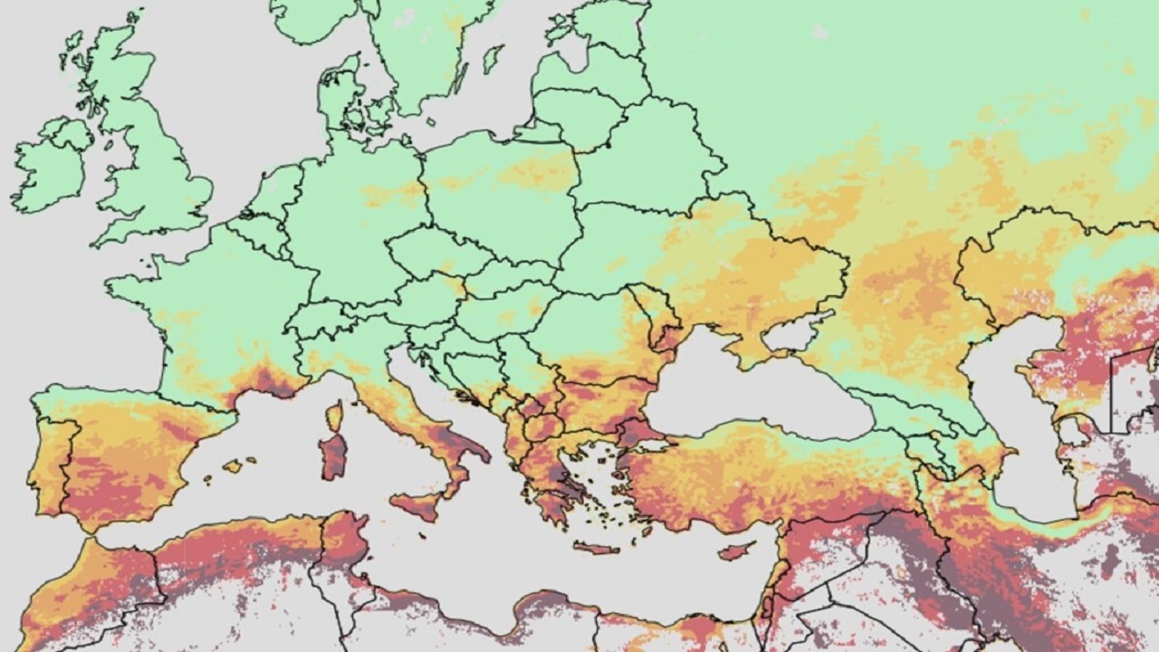 Parashikimi/ Temperaturat e larta, Europa Jugore rrezikohet të përfshihet nga zjarret