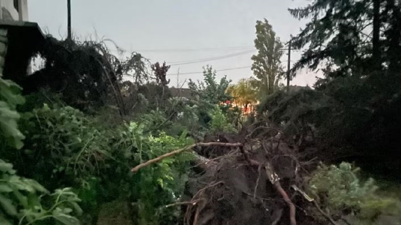 Stuhi tjetër vdekjeprurëse në Serbi, humbin jetën një fëmijë dhe një grua