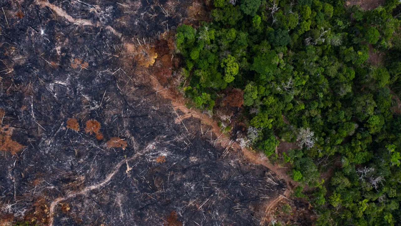 Shtetet e Amazonës kërkojnë veprime urgjente për ndryshimet klimatike