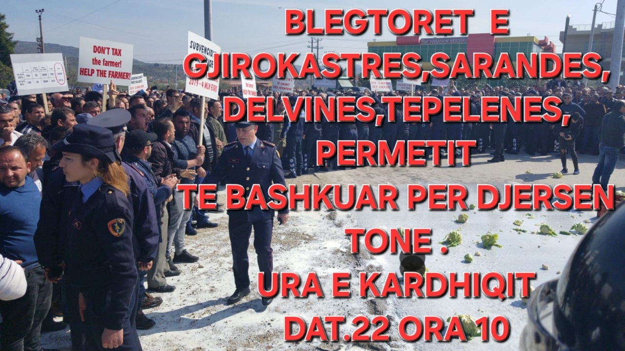 Blegtorët shqiptarë në protestë/ Kundërshtojnë uljen e çmimeve të qumështit dhe monopolit të fabrikave