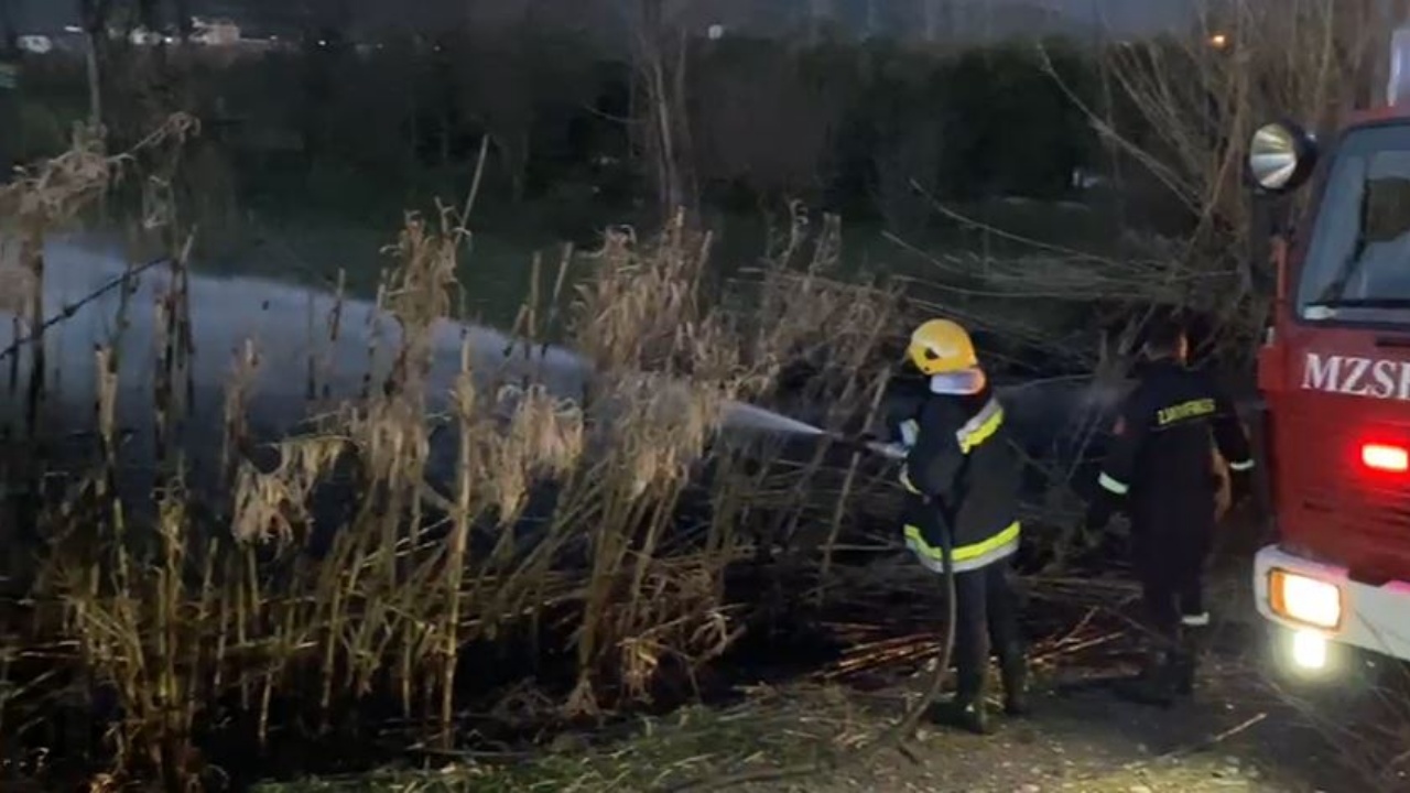 Zjarr në Elbasan, digjet bimësia! Shkak një cigare e hedhur pa u fikur