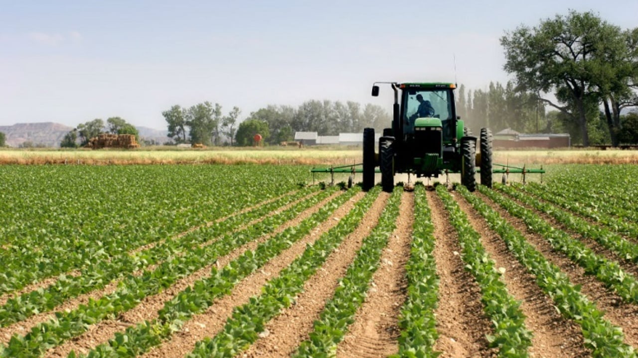 censi-per-bujqesine-890-mln-leke-per-realizimin-gjobe-kush-nuk-jep-informacione-per-numrin-e-bagetive