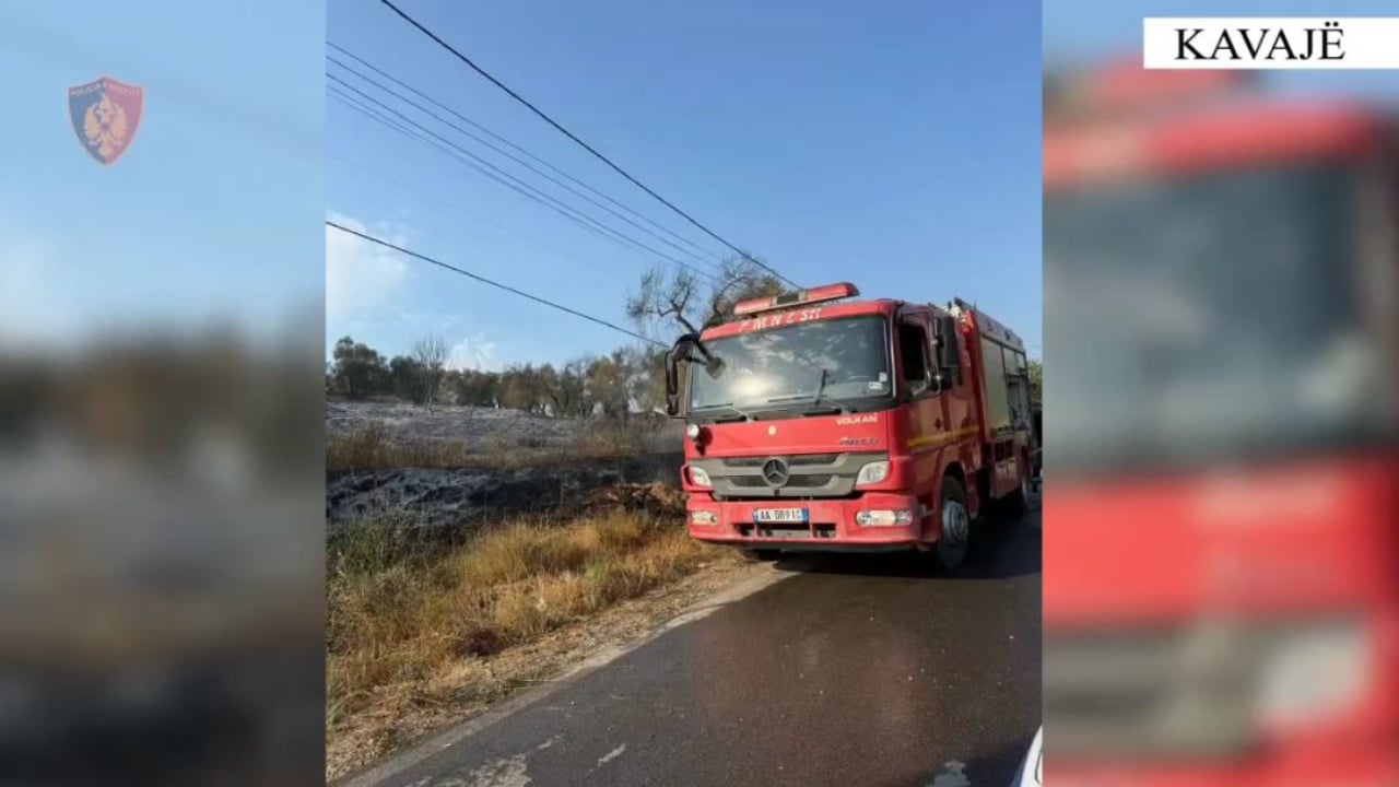 Zjarri përfshiu një sipërfaqe të madhe toke me pemë frutore  vihet në pranga autori në Kavajë