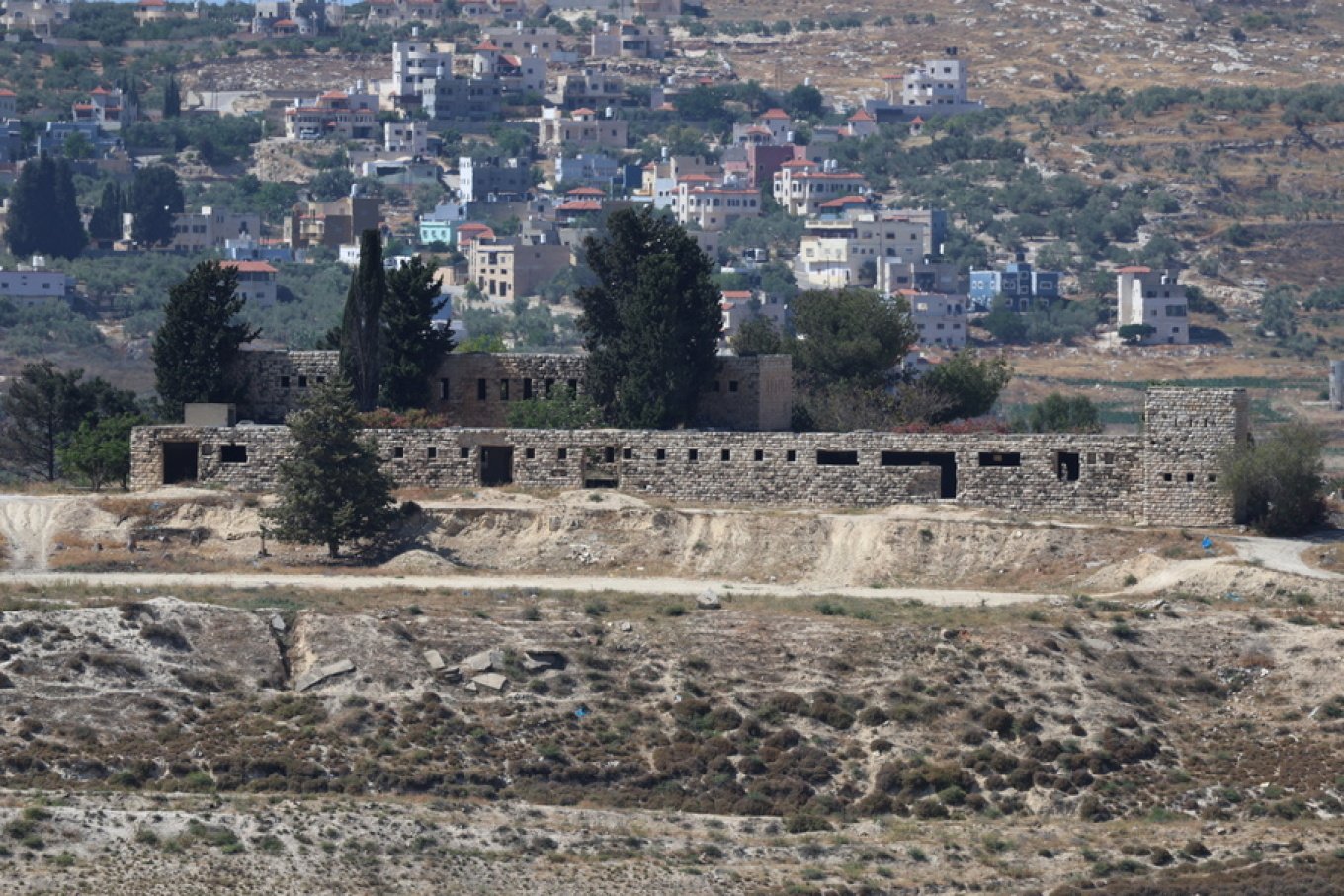 Izraeli dëbon 32 aktivistë që ndihmuan palestinezët të korrnin ullinj në Bregun Perëndimor