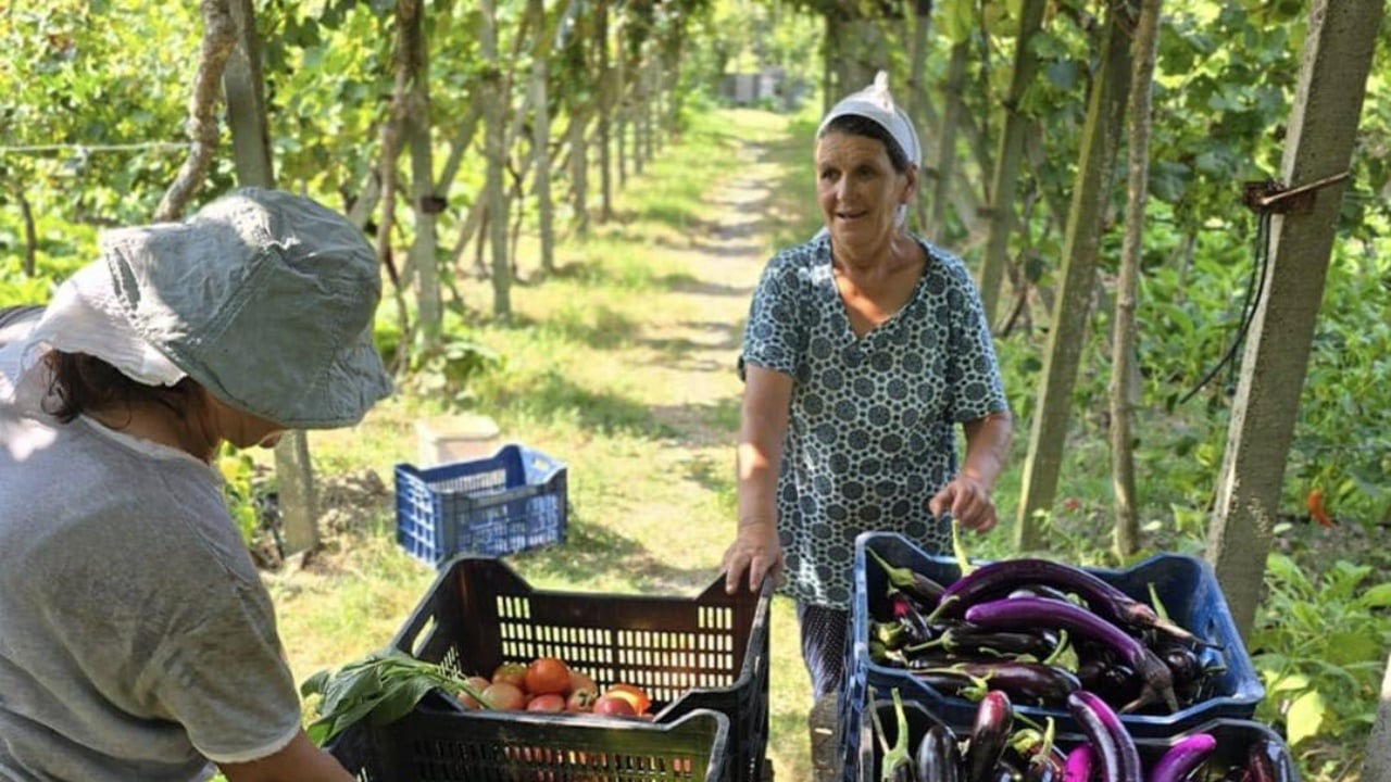 bbc-artikull-agroturizmit-dhe-kulinarise-shqiptare-rama-recetat-tradicionale-te-gjysheve-shqiptare-nje-pike-e-forte
