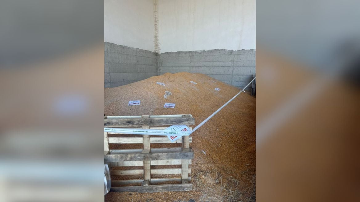 U gjet sasi e tepërt kimikatesh në ngarkesë  AKU bllokon 25 ton misër nga Serbia në Shkodër