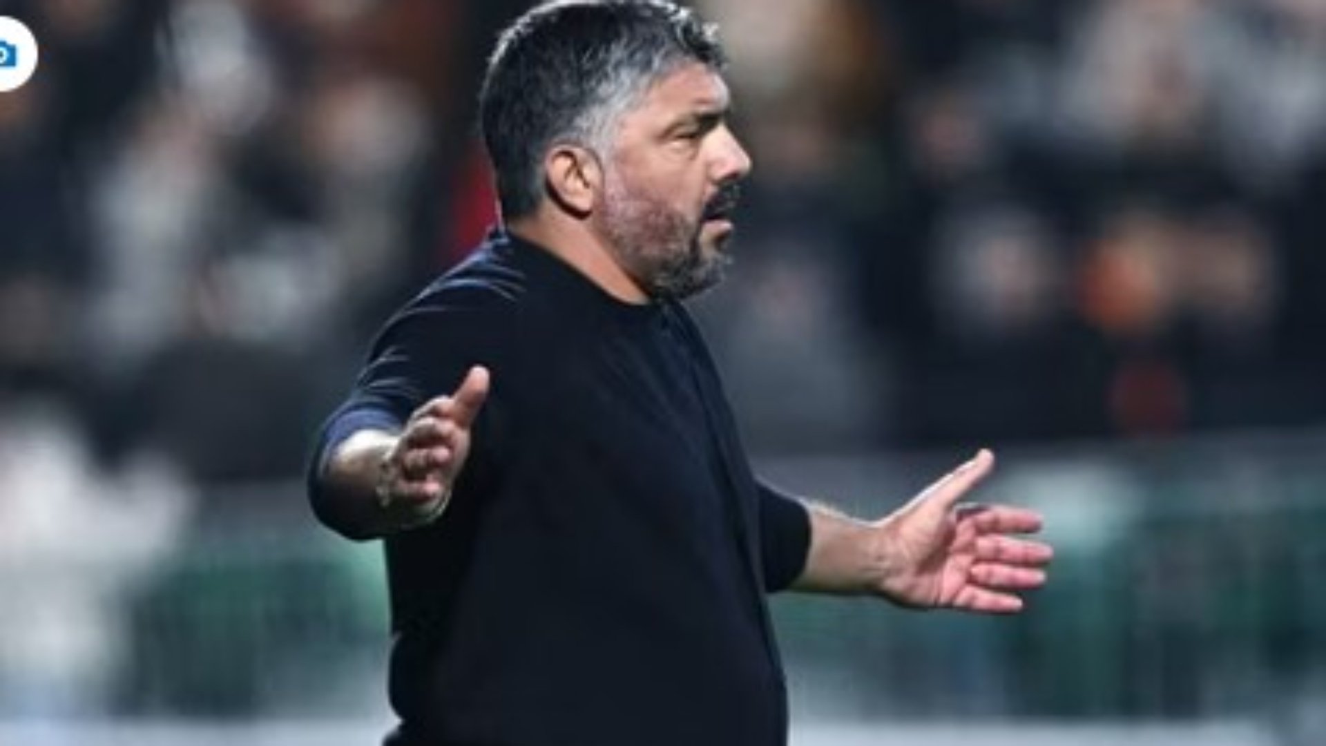 Tifozët  tërbojnë  Gattuson  E turpshme që bërtisnin  shkoni të punoni 