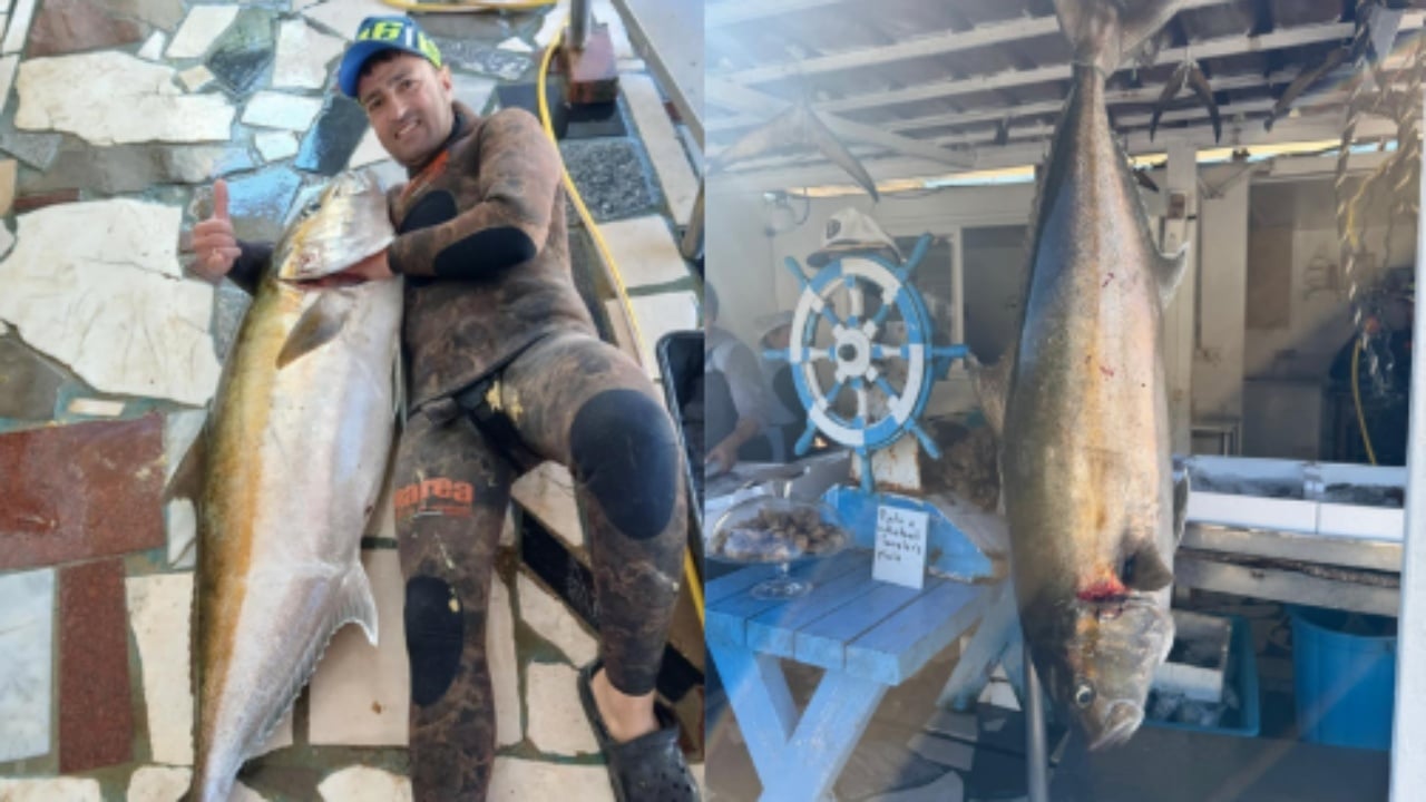 gara-e-heshtur-mes-peshkatareve-ne-vlore-kapet-nje-tjeter-peshk-gjigant-peshon-35-kg