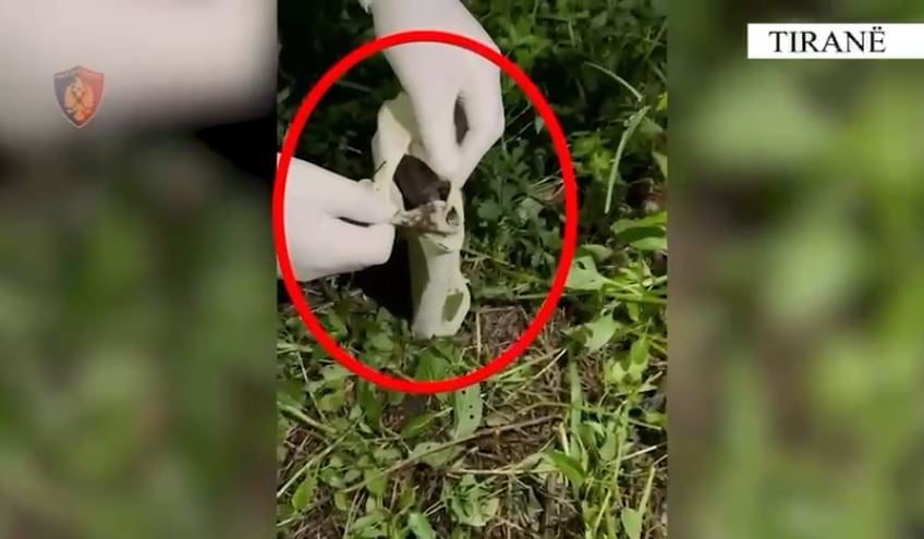 moren-peng-te-riun-dhe-e-dhunuan-per-5-mije-euro-identifikohen-5-autoret-arrestohen-2-prej-tyre