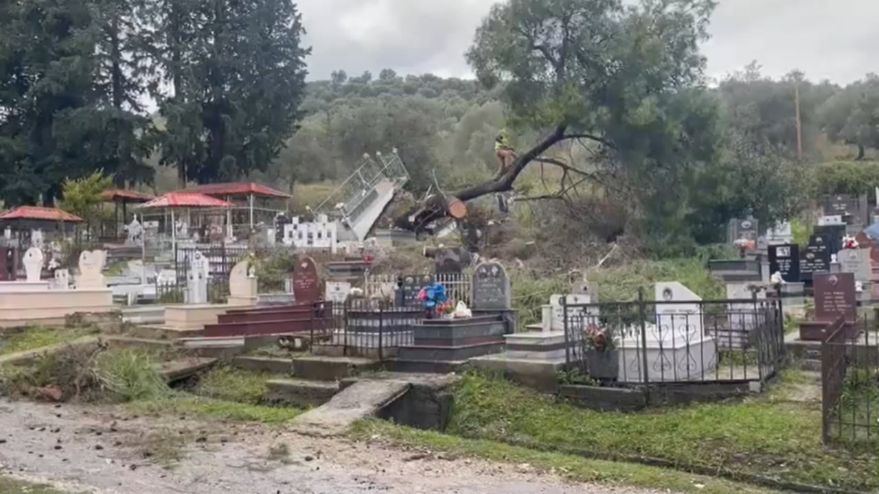 era-e-forte-rrezon-pemen-ne-varrezat-e-qytetit-te-vlores-demtohen-disa-varre