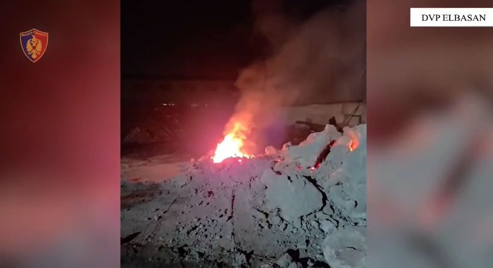 Operacioni në Elbasan  zbardhen emrat e të arrestuarve dhe shtetasve të shpallur në kërkim