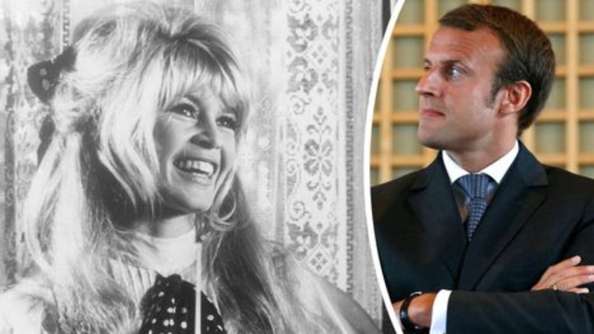 Macron reagon pas vdekjes së Brigiette Bardot  Vajtojmë për një legjendë shekullore  ishte mishërimi i një jete të lirë