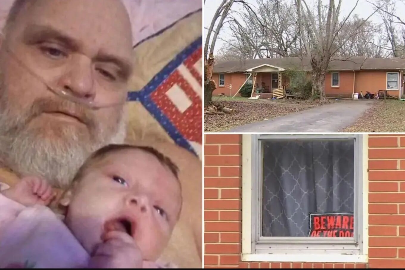 SHBA  Tragjedi e dyfishtë në Tenesi  gjyshi dhe mbesa 3 muajshe sulmohen nga shtatë qentë pit bull të familjes