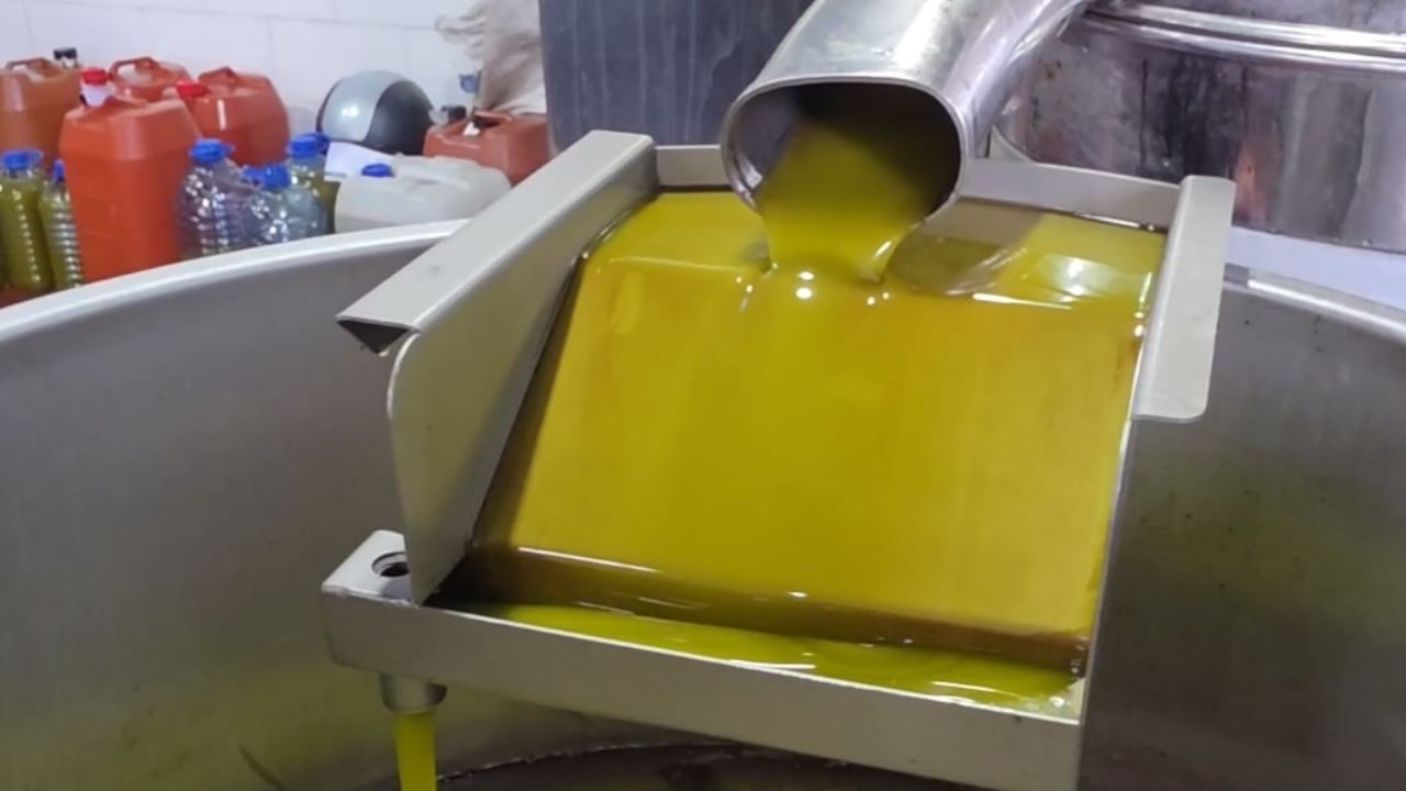 vaji-i-ullirit-nuk-po-shitet-ankohen-fermeret-shitet-i-falsifikuari-prodhimi-yne-po-mbetet-stok