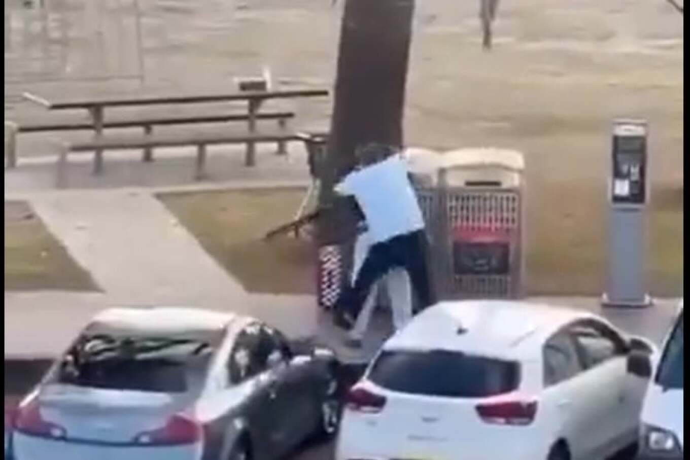 Video  Sulmi me armë në Sydney  një qytetar çarmatos njërin nga autorët e krimit teksa ai po qëllonte