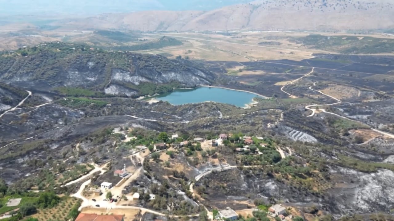 Sezon i dobët për ullirin  Ankohen fermerët e Delvinës  U dëmtuam nga zjarret  përmbytjet dhe ndryshimet klimatike