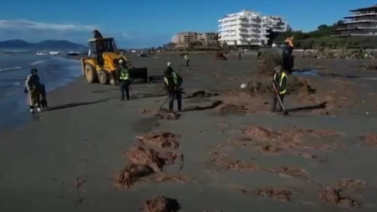 Në Vlorë pastrimin e plazhit e bëjnë të huajt  japin mesazhin për qytetarët që kanë zgjedhur të jetojnë në qytet