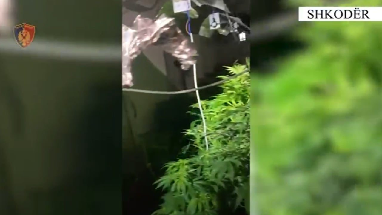 kthyen-banesen-ne-nje-shtepi-bari-shpallen-ne-kerkim-dy-persona-ne-shkoder-nis-hetimi-dhe-per-dy-punonjes-te-oshee-se