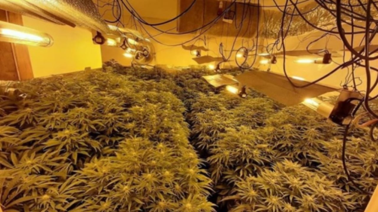 Zbulohet  shtëpi bari  në Lezhë  disa të arrestuar