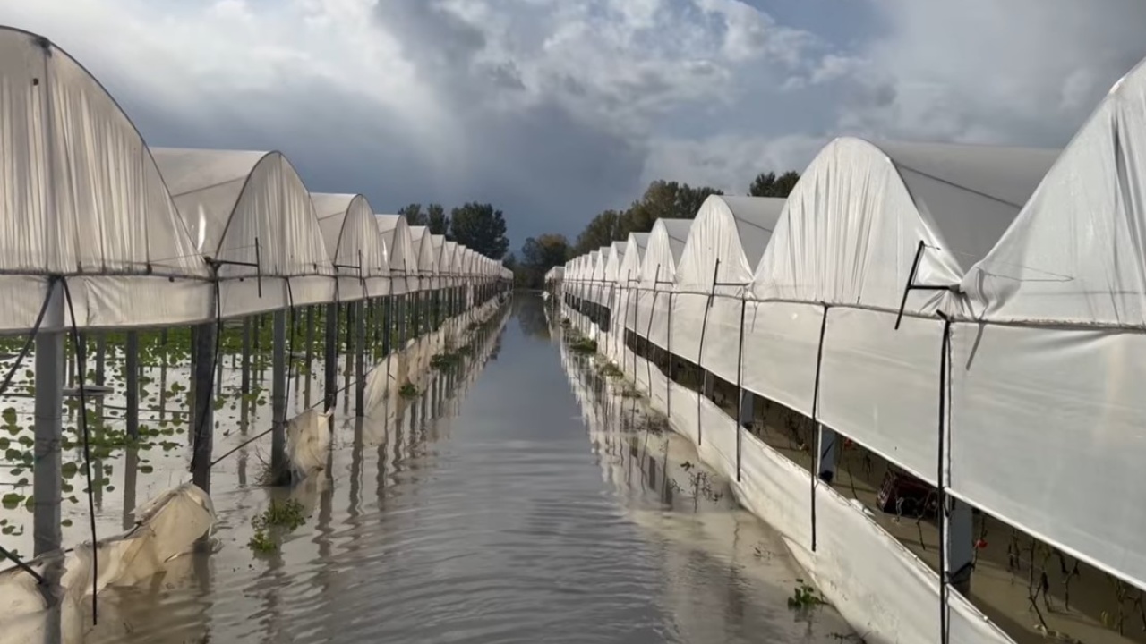 Dy përmbytje në tre muaj  fermerët në Gorican të Dimalit janë shkatërruar tërësisht në bujqësi dhe blegtori
