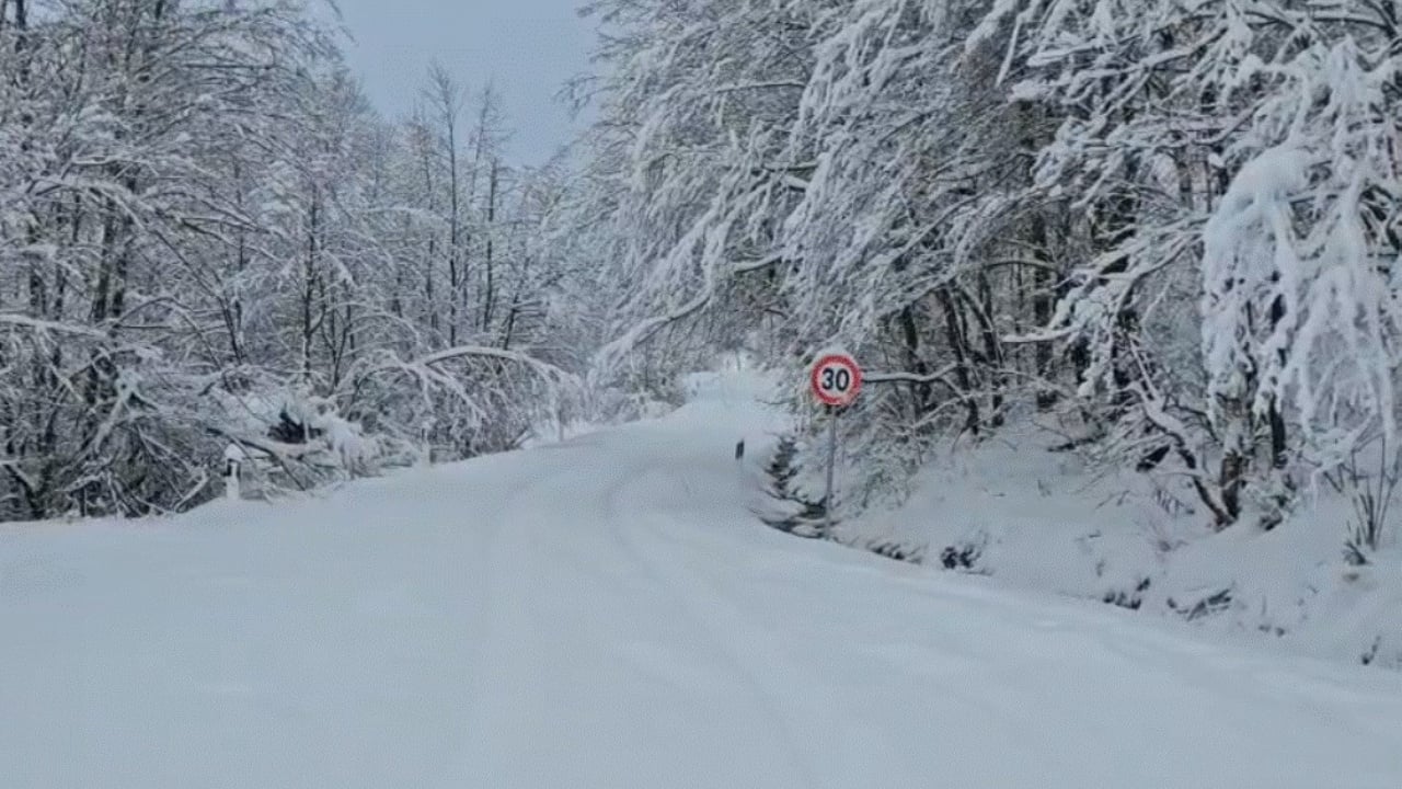 Reshjet e dendura të dëborës në qarkun e Kukësit  dhjetëra fshatra të bllokuara
