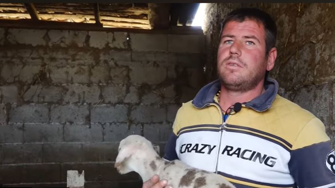 Bujqësia  u mbyt  nga Semani  blegtorët e Beratit humbin kafshët dhe ushqimin që kishin  Është bërë pleh i gjithë