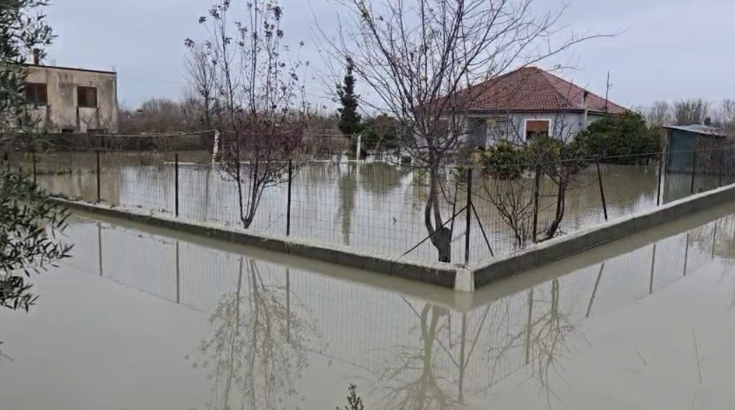 Përmbytjet në vend  Ministria e Mbrojtjes raporton situatën  Ja zonat që rrezikojnë