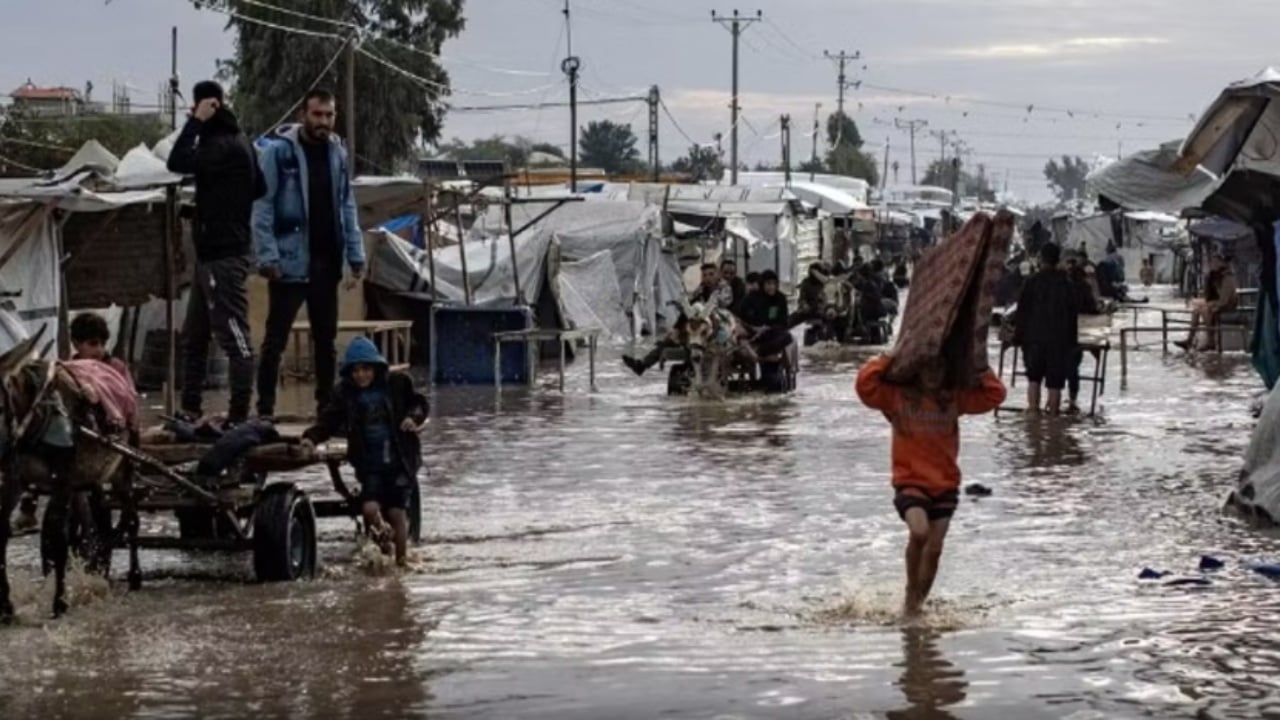 I ftohti ekstrem në Rripin e Gazës  Një foshnje 27 ditëshe ndërron jetë  autoritetet thirrje për ndihmë ndërkombëtare