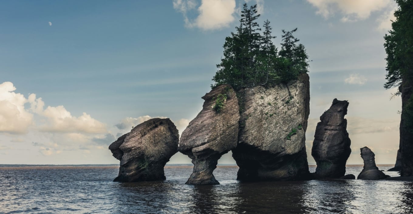 Gjiri i Fundy t  Zona ku baticat më të larta në botë zbulojnë ishuj  balena dhe fosile 300 milionë vjeçare