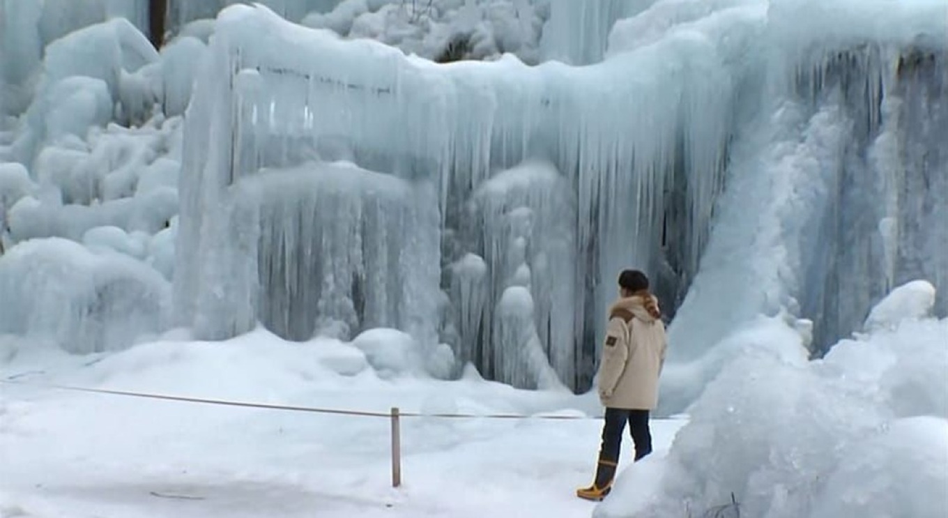 Pyll i ngrirë i krijuar nga e para në Mountain Inn në Japoni  foto spektakolare