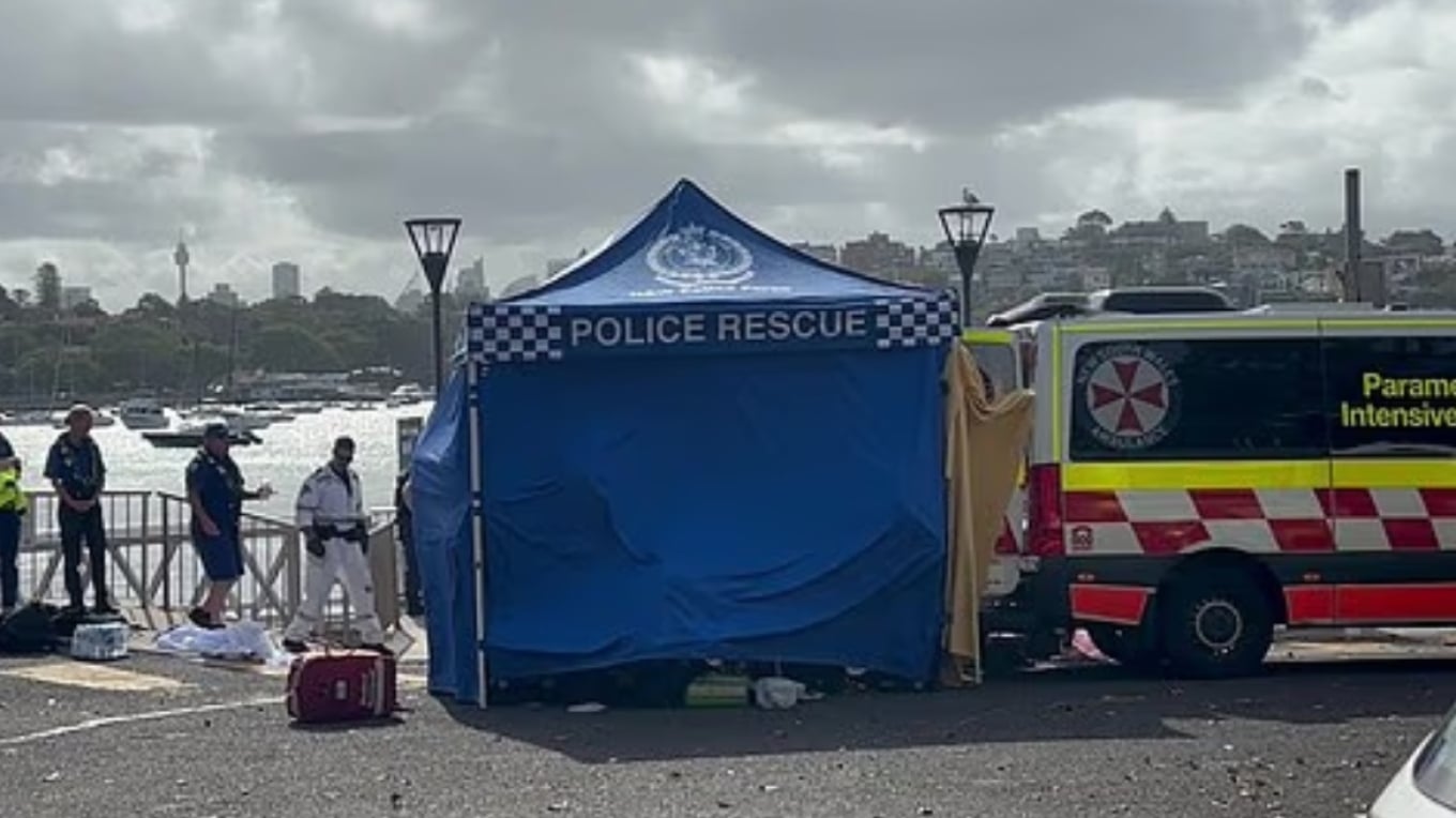 Peshkaqeni sulmon notarin 12 vjeçar në Australi  shtrohet në spital në gjendje të rëndë