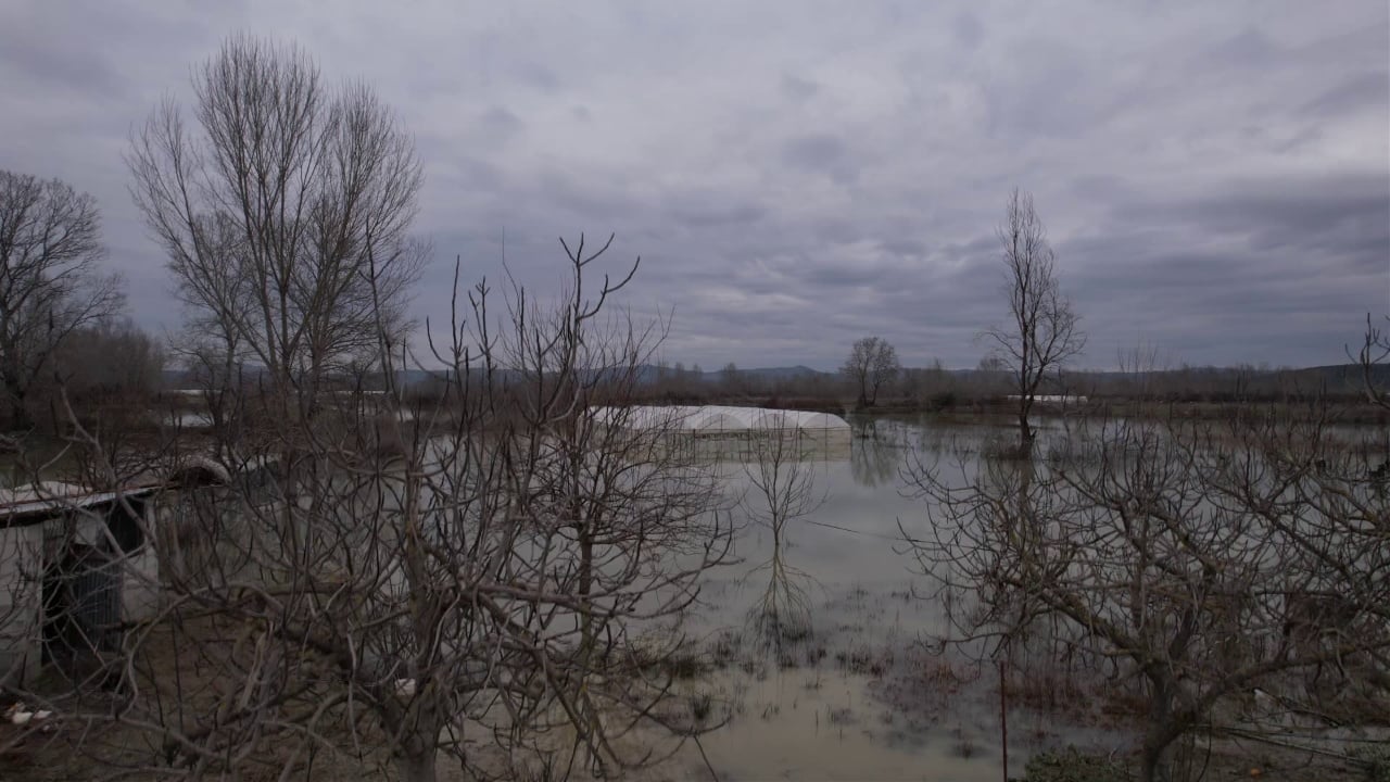  U përmbytëm  do ikim   Fermeri nga Kuçova tregon 5 dynymë serra që janë përmbytur nga ujërat