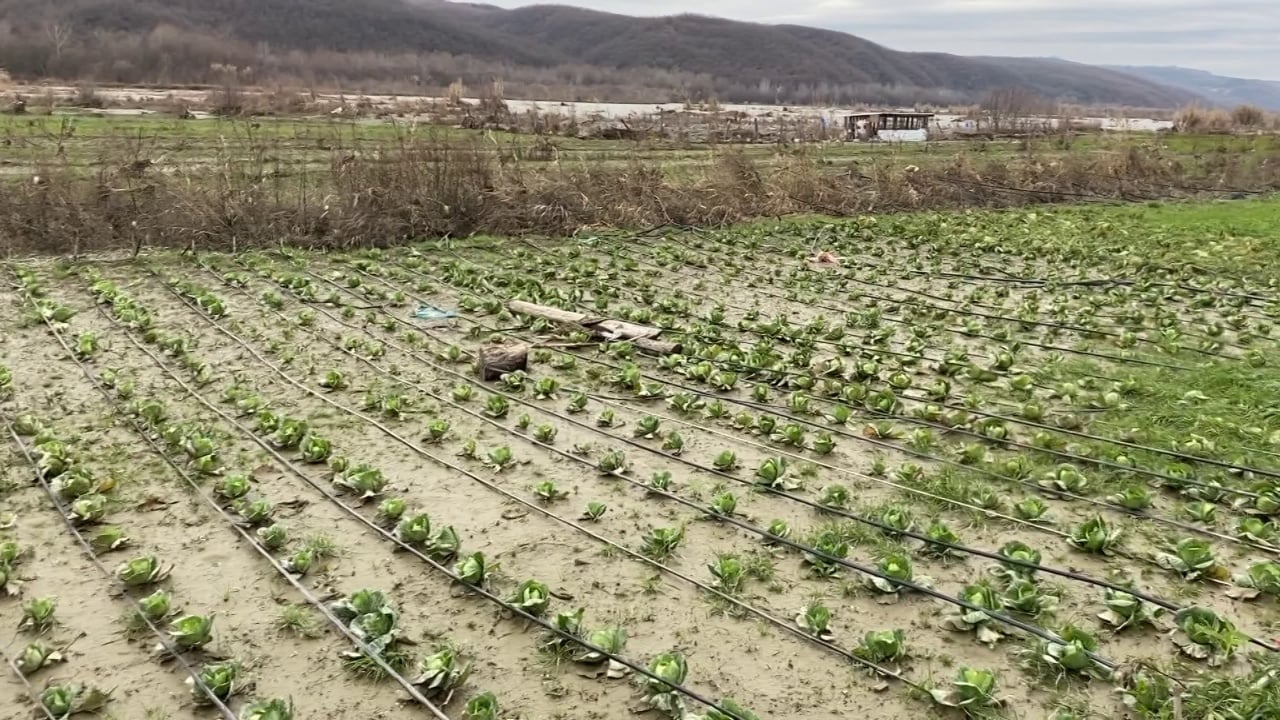 Hapja e portave të HEC it të Banjës shkaktoi përmbytje në Cërrik  Devolli dëmtoi serrat