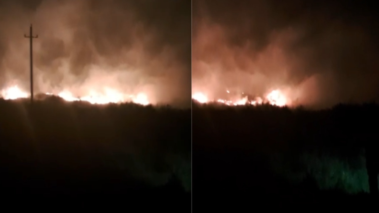 Zjarr në zonën e kënetës në Orikum  era e fortë favorizon përhapjen e flakëve