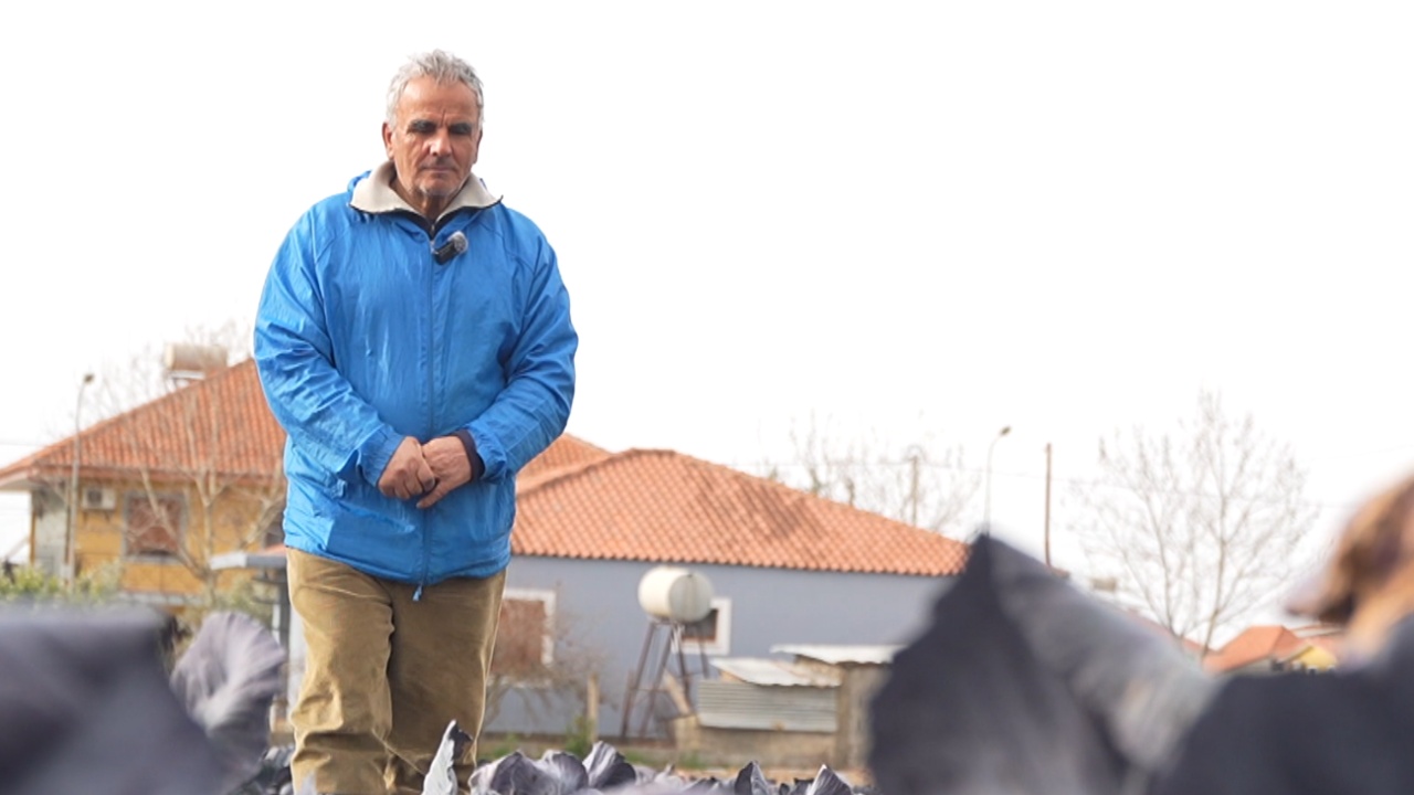 Pensionet për fermerët  Efekti i paqes fiskale  mundësi e re për ata që kanë detyrime të prapambetura në sigurimet shoqërore