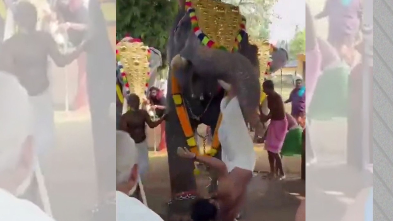 Video  Po performonin gjatë një festivali fetar në Indi  elefanti plagos rëndë të riun  e hedh disa metra në ajër dhe 