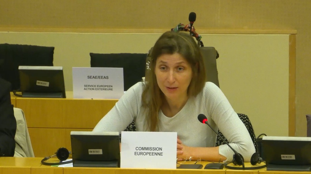 Shefja e Njësisë për Shqipërinë në Bruksel flet në seancën e PE së  Polarizimi politik po kufizon mbikëqyrjen parlamentare  të forcohet gjyqësori