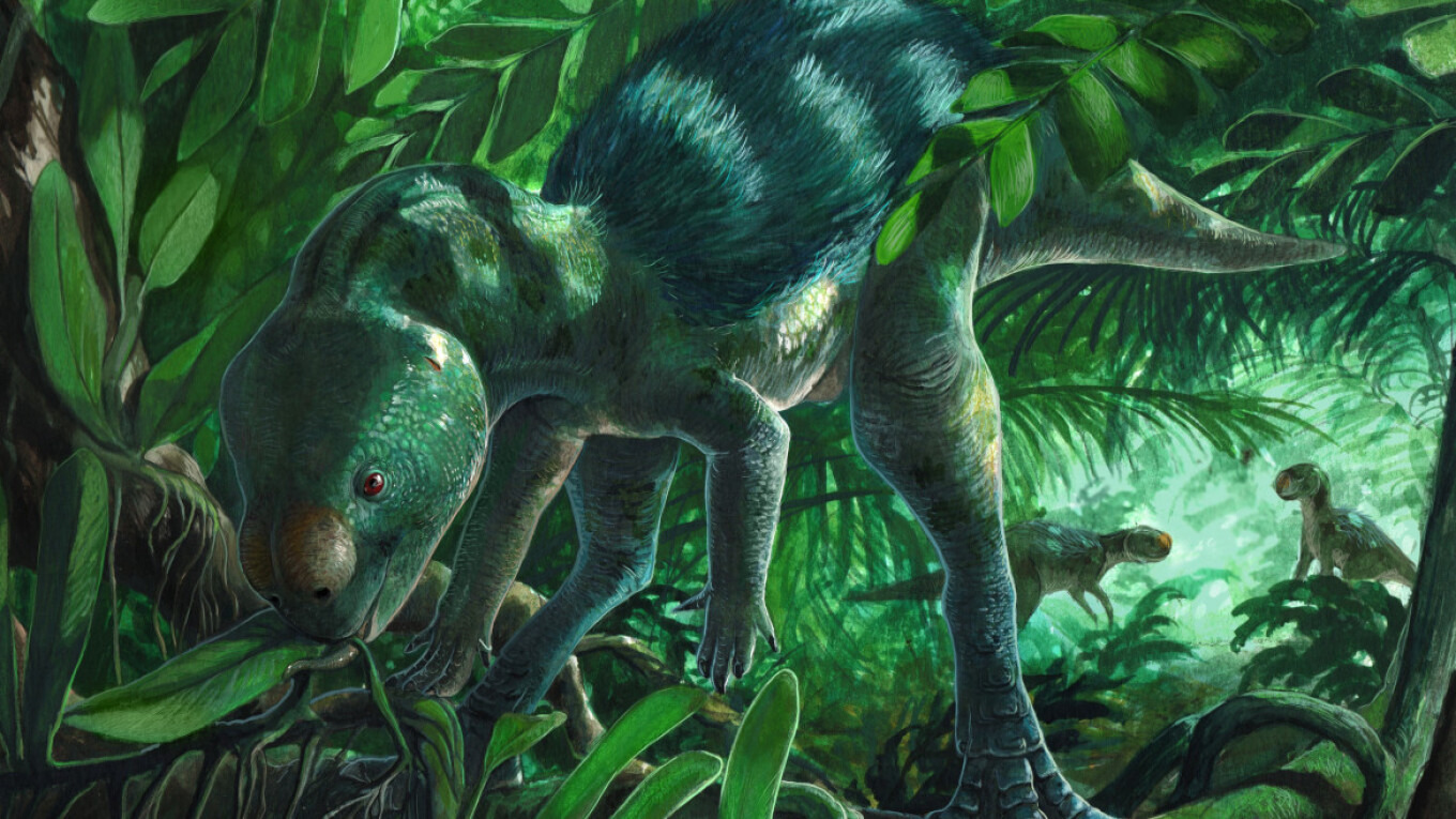 Një specie e re dinosauri e vogël është zbuluar në Spanjë