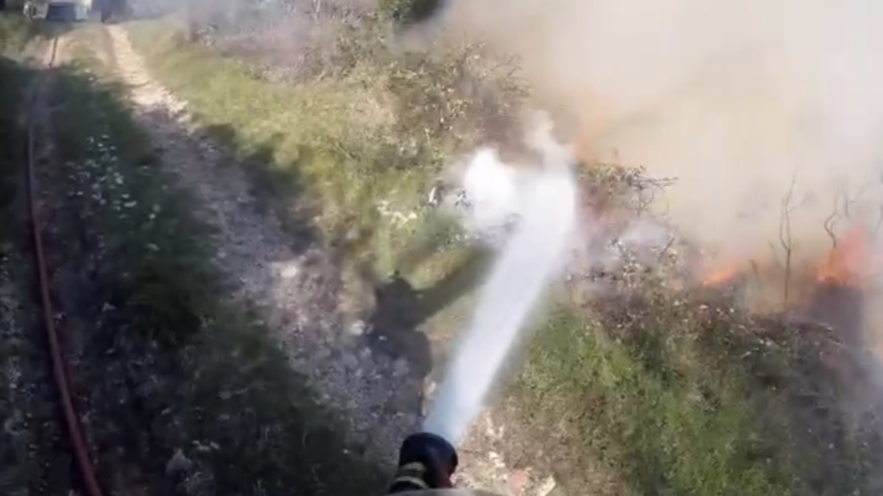 Zjarri në fshatin Risili të Vlorës djeg disa rrënjë ullinjsh  dyshohet i qëllimshëm