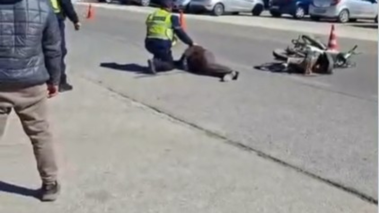 aksident-ne-aksin-levan-fier-plagoset-nje-person