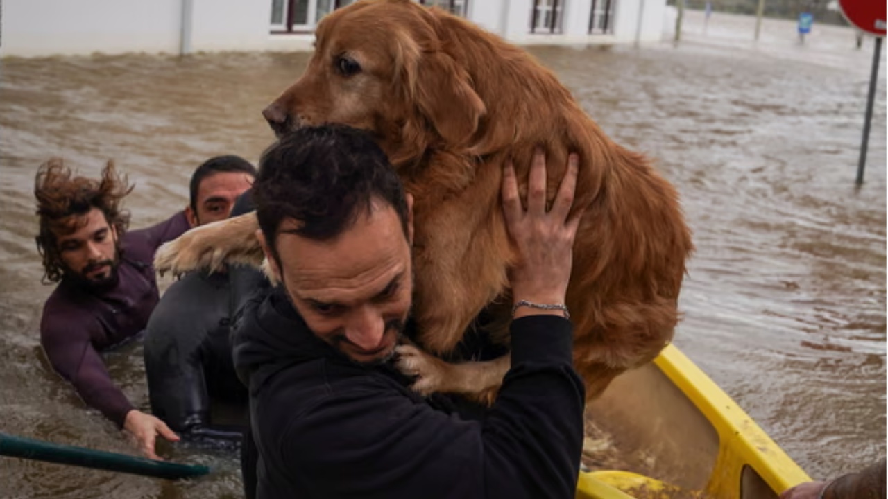 Stuhi shkatërrimtare në Gadishullin Iberik  kërkohet shtyrja e zgjedhjeve presidenciale në Portugali