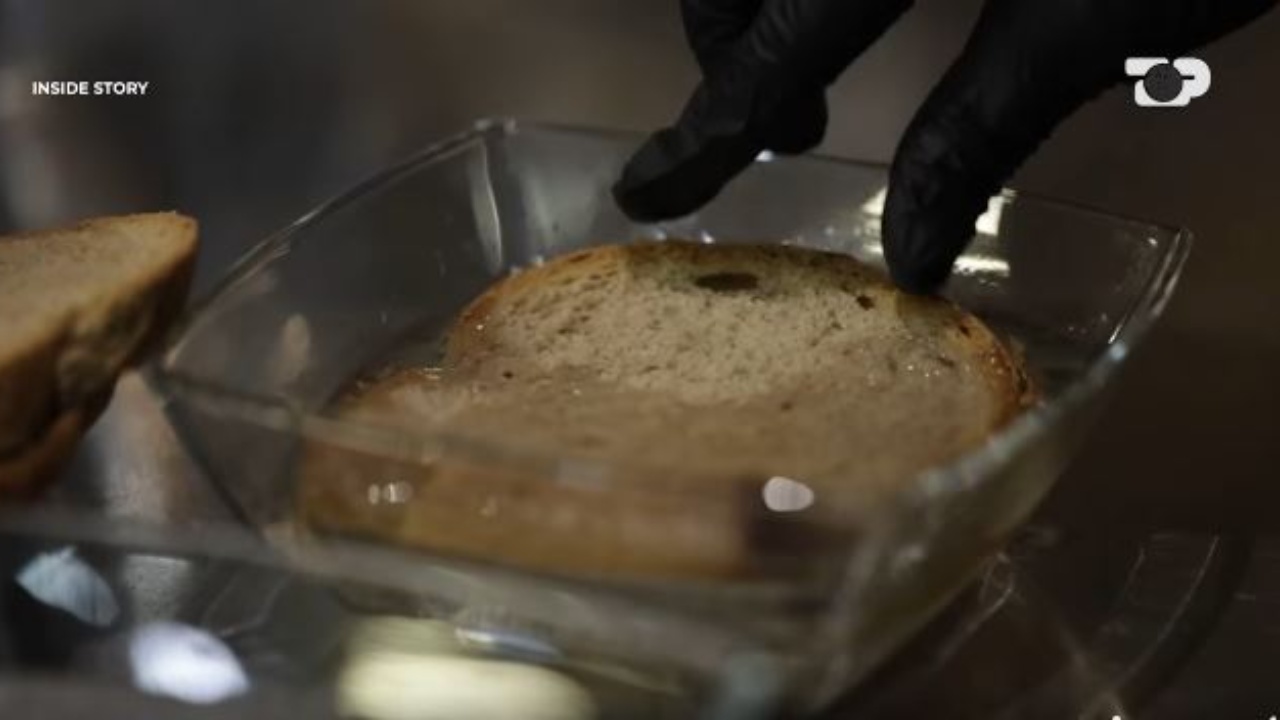 Inside Story  Buka e zezë dhe integrale ngjyrosin ujin  nga eksperimenti i thjeshtë tek vëzhgimi në furrat e bukës