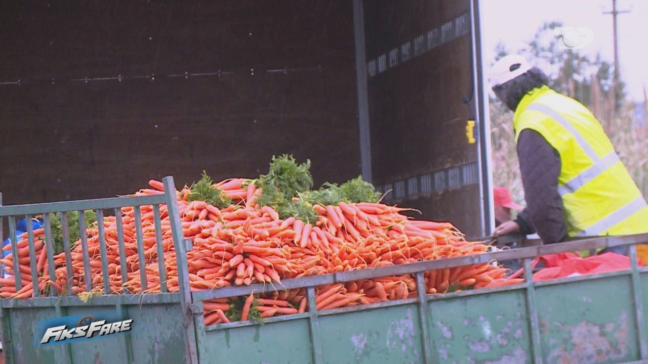 Vëzhgimi i Fiks Fare   Lufta në Iran  këta rritën çmimet   fermerët denoncojnë rritjen artificiale të inputeve bujqësore