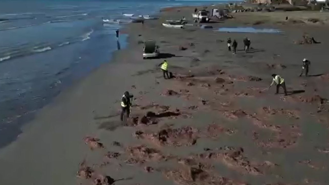 Pastrohen plazhet para sezonit turistik  Aksion në Vlorë e Fier me nxënës  banorë dhe ushtrinë
