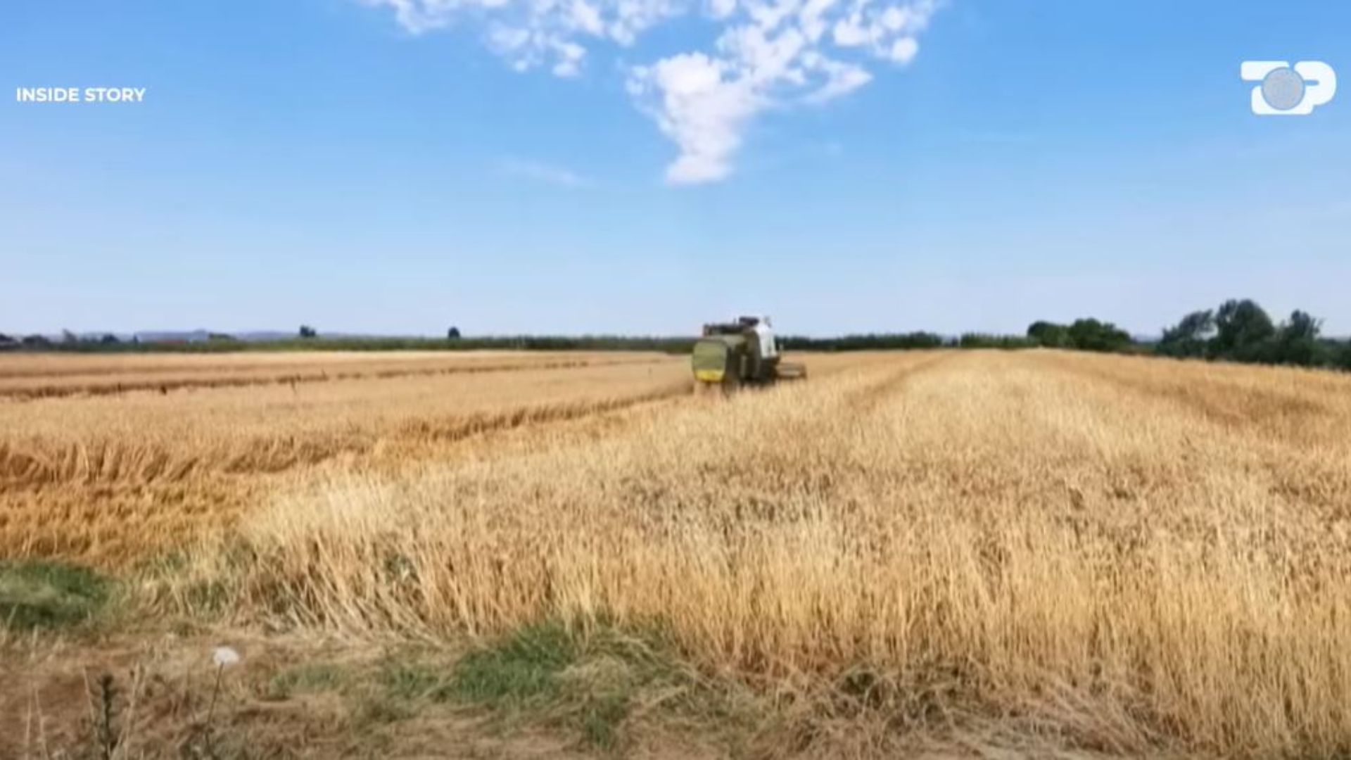 Inside Story  Fermerët dhe ekspertët  Skema Kombëtare nuk adreson problemet  bujqësia në rrudhje