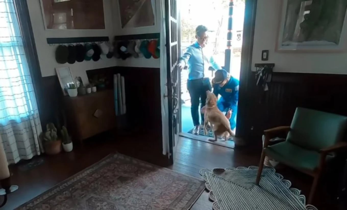 astronautja-e-artemis-ii-sheh-qenin-e-saj-pas-disa-ditesh-ribashkimi-behet-viral-ne-internet