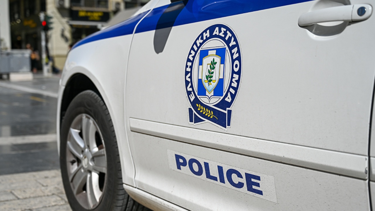 Krim i rëndë në Greqi  Persona të panjohur helmojnë 21 qen endacakë njëherazi  nisin hetimet